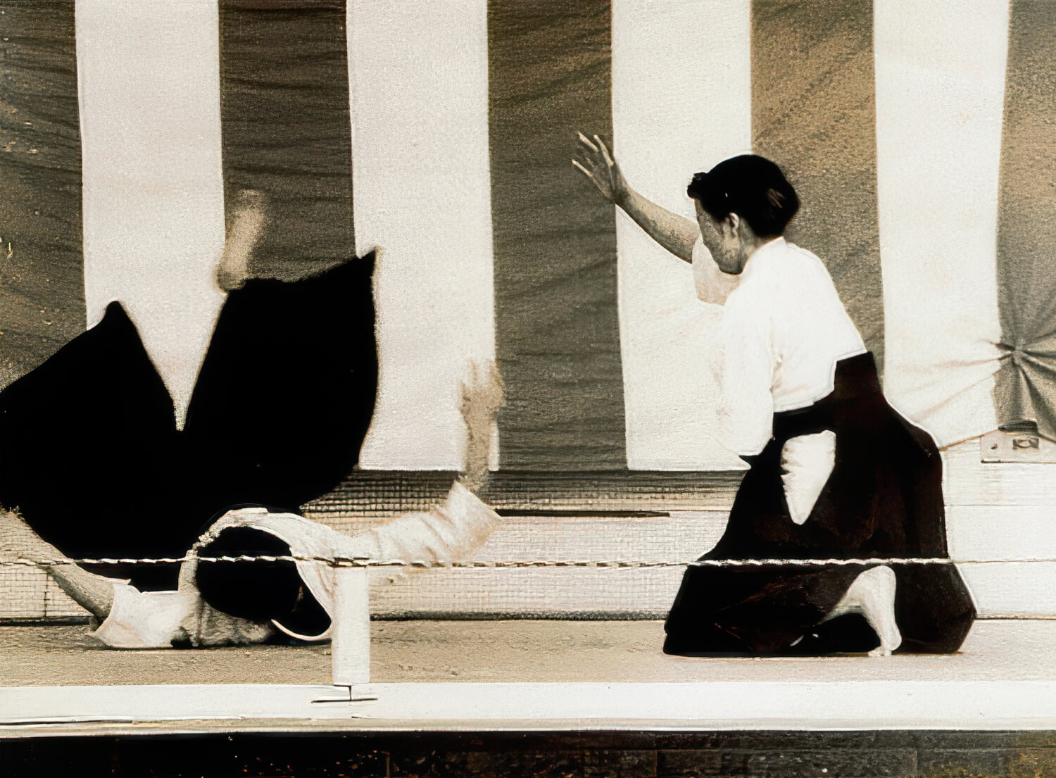 Fukiko Sunadomari and the Women Erased from History - Itsuo Tsuda School